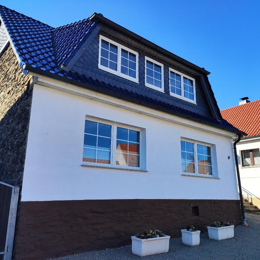 Ferienhaus Blaue Blume Mit 11 Kw Ladestation, Kamin, Terrasse, Eingezaeuntem Garten, Sauna, Wlan, Netflix, 2 Hunde Willkommen! Гюнтерсберге Экстерьер фото
