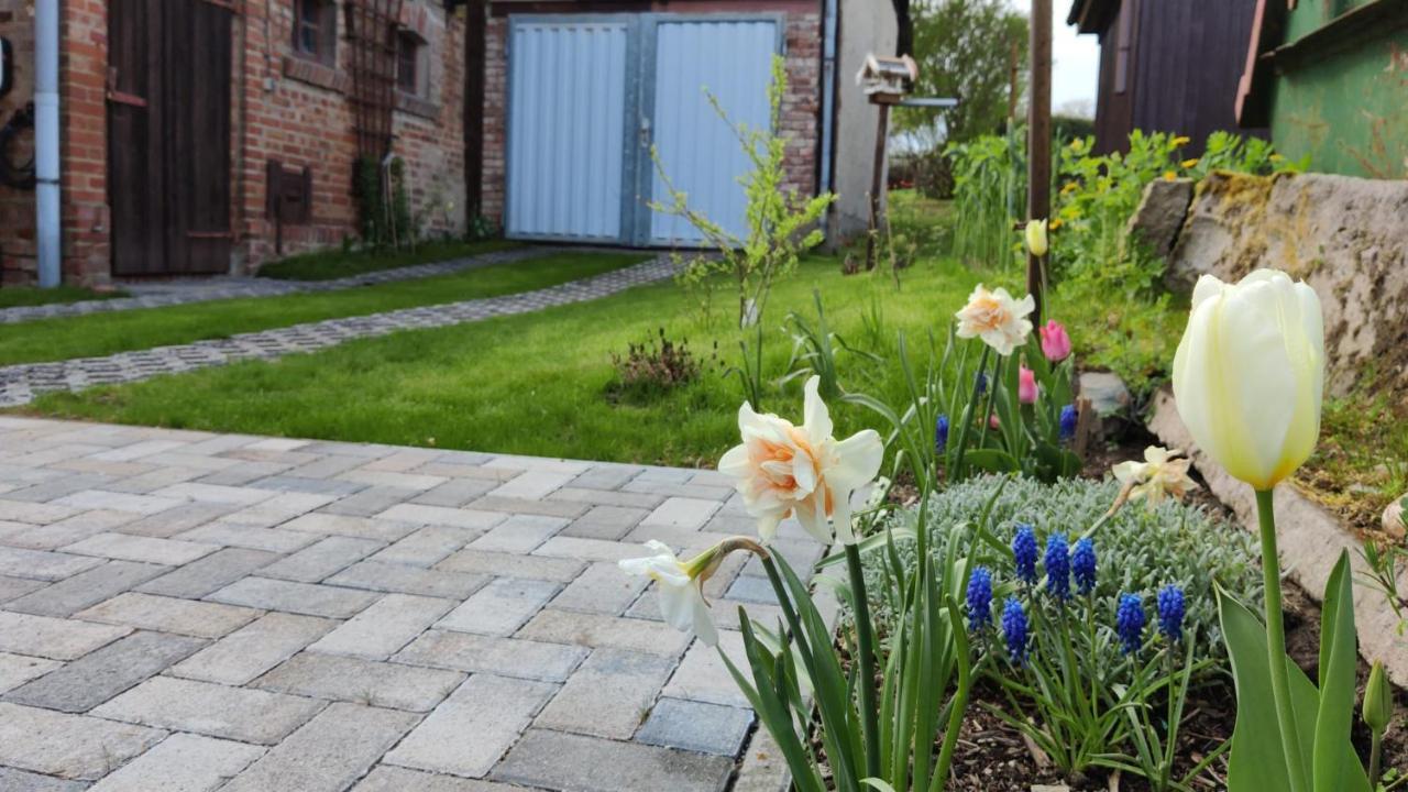 Ferienhaus Blaue Blume Mit 11 Kw Ladestation, Kamin, Terrasse, Eingezaeuntem Garten, Sauna, Wlan, Netflix, 2 Hunde Willkommen! Гюнтерсберге Экстерьер фото