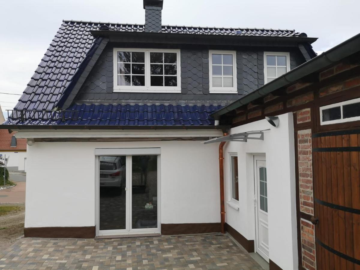 Ferienhaus Blaue Blume Mit 11 Kw Ladestation, Kamin, Terrasse, Eingezaeuntem Garten, Sauna, Wlan, Netflix, 2 Hunde Willkommen! Гюнтерсберге Экстерьер фото